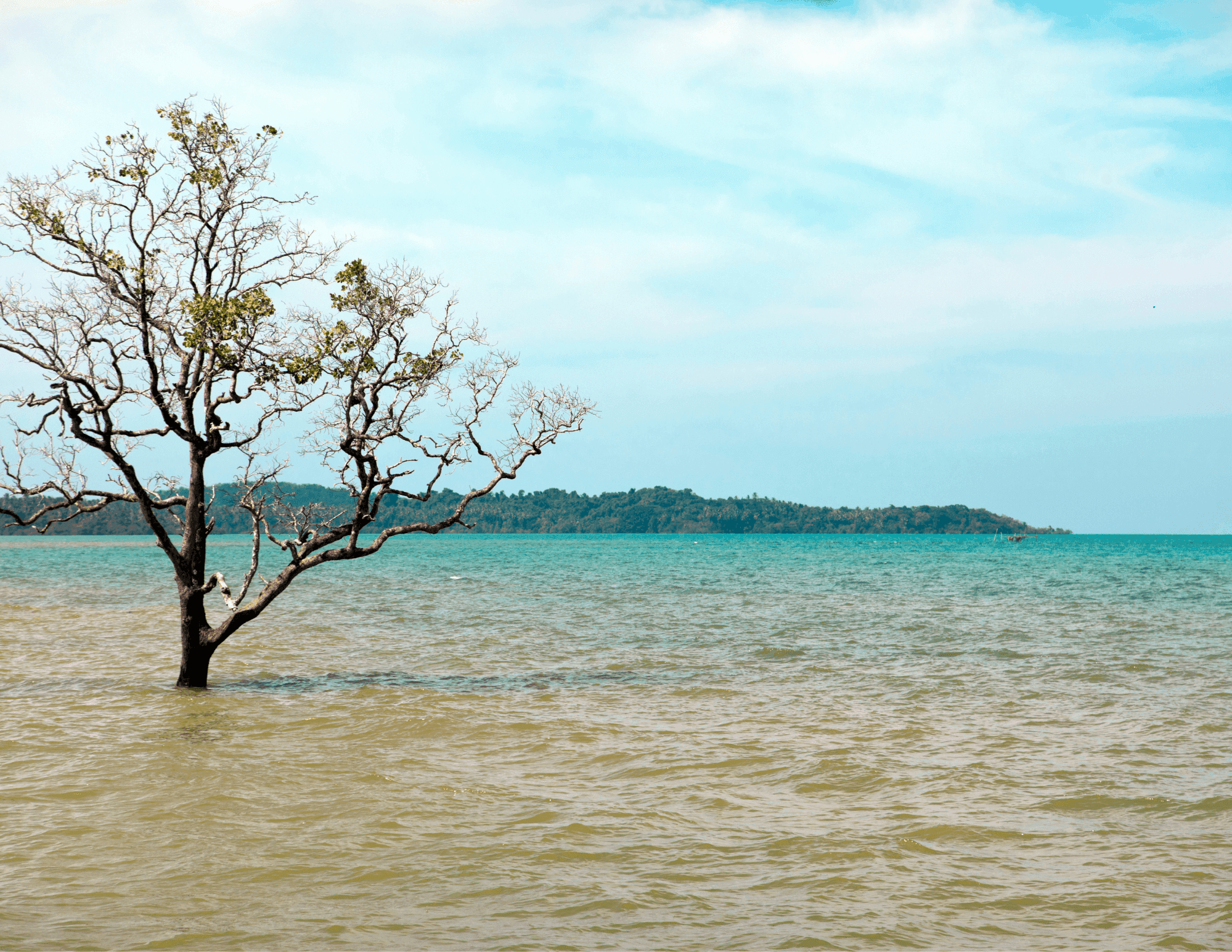 Falepili Union Treaty and Statehood of De-territorialised States