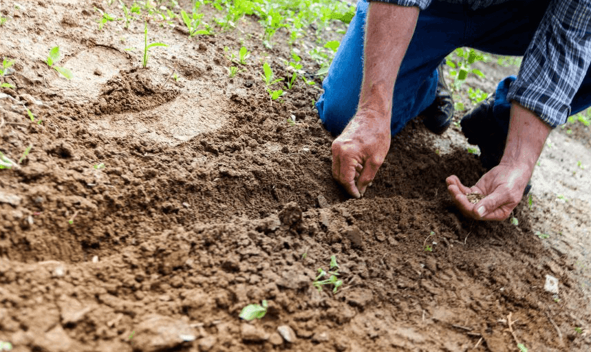 Shell v Milieudefensie: Sowing the Seeds for Future Climate Litigation against Fossil Fuel Producers