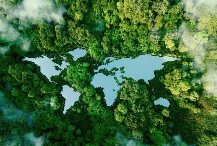 Public Launch of the Global Toolbox on Corporate Climate Litigation