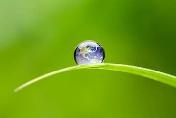 Short Course: Climate Change Litigation